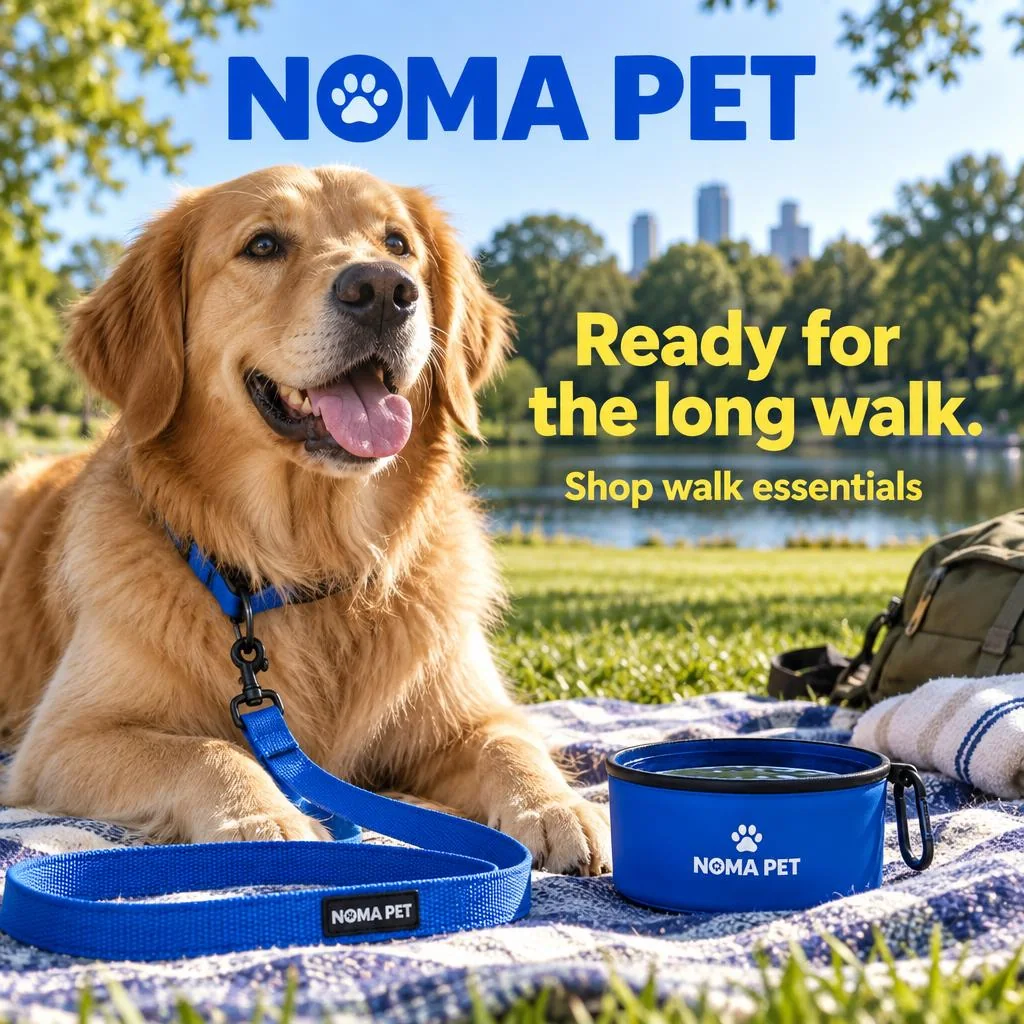 Illustrative product in use for fictional NOMA PET